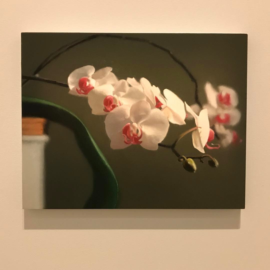 Gerhard Richter . Orchid 1997.  @qagoma  @gerhard.richter